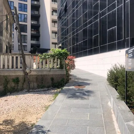 Sunny Lol Port In The Centre *